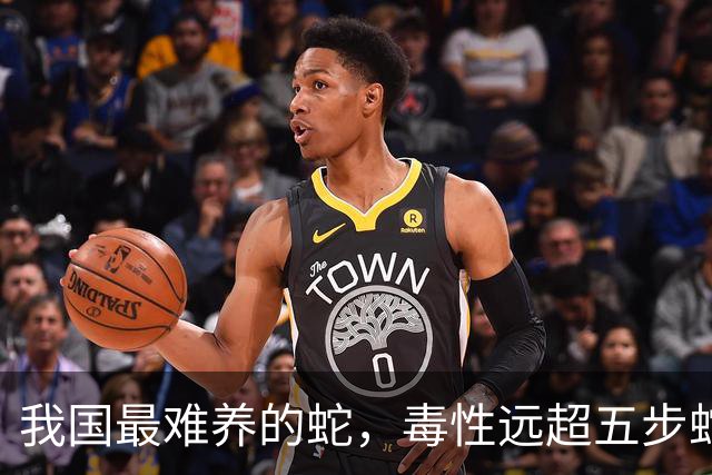 我国最难养的蛇，毒性远超五步蛇，被称“中国第一毒蛇”，至今没有解毒血清