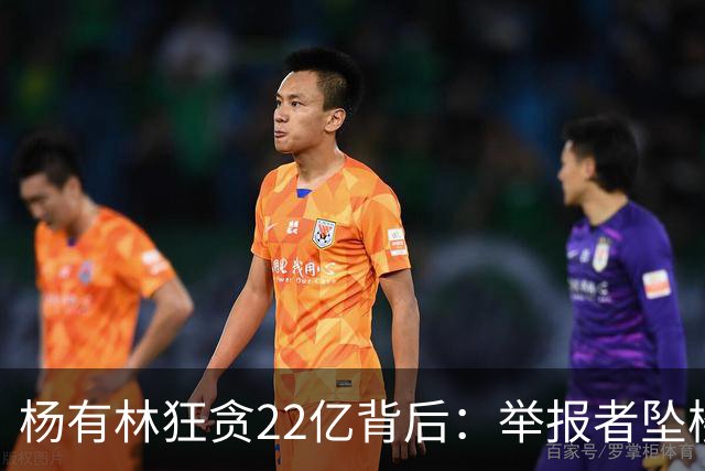 杨有林狂贪22亿背后：举报者坠楼身亡，妻子女儿美国籍，保护伞被判死缓